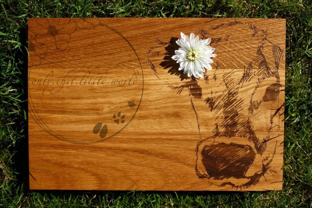 IMG_7814-01 | only.this.little.world - Realisiert mit Pictrs.com