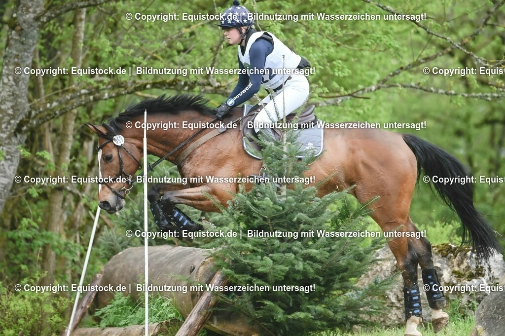 20230513_CCI2_Section2_Gelände_0298 | equistock