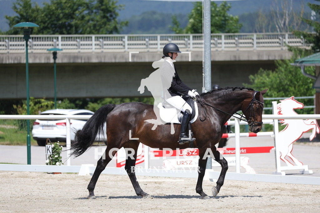 0P6A5159 | Willkommen bei Brunnmayr - Design & Fotografie – Ihrem Spezialisten für Reitturniere und Pferdeveranstaltungen in Oberösterreich, Salzburg und Bayern! Seit über 17 Jahren sind wir leidenschaftlich dabei.