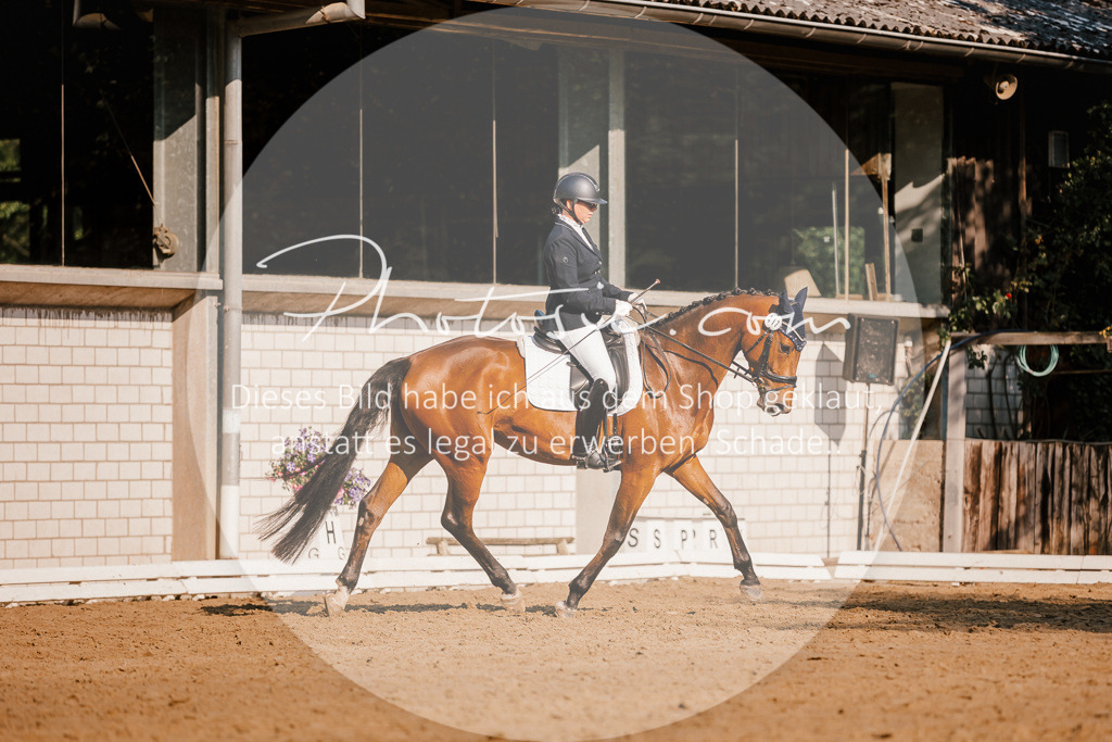 3I6A8639 | Stimmungsvolle Portraits und Reitsportfotografie im Ruhrgebiet und im Münsterland.

Pferdefotografie, Hundefotografie, Tierfotografie, Reportagen, Portraits von Tier und Mensch, Turnierfotografie in Bochum, Recklinghausen, Marl, Haltern am See, Dülmen.. - Realisiert mit Pictrs.com