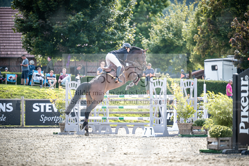 DOS_0836 | Entdecke hochwertige Reitturnierfotos von Foto Oger. Professionell, emotional und authentisch – jetzt Lieblingsmomente im Shop bestellen. - Realisiert mit Pictrs.com