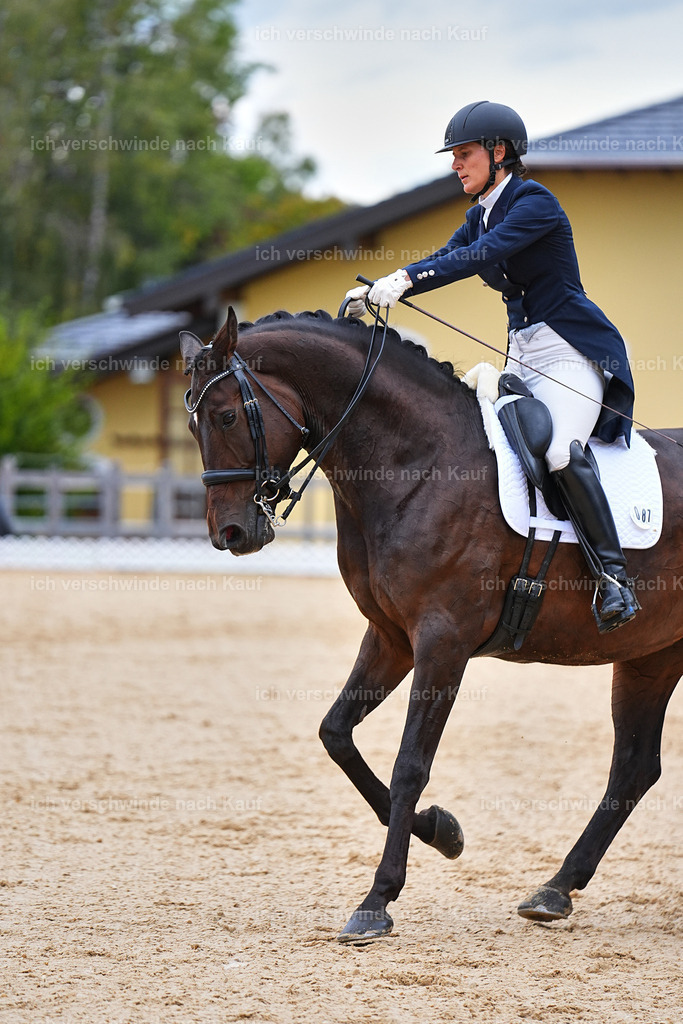 8_1-087-Klasse S_  -Marixx-4130 | working equitationturnier fotograf videograf stoibphotography marixx film working equitation deutschland reitsport turnierfotografie eventfotografie equestrian events