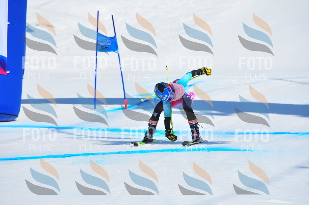 DSC_4354 | holidayphoto