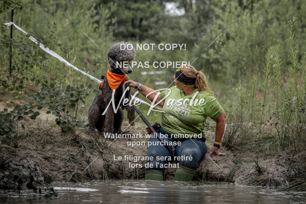 nelerasche_so1000-1030_284 | nelerasche
