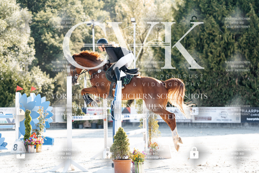 CK901554 | Turnierfotografie Pferdefotografie Trier Rheinland-Pfalz Pferdesport Reitsport Tierfotografie Sportfotografie Pferdevideo Pferdevideografie Equestrianvideography equestrianphotography  - Realisiert mit Pictrs.com
