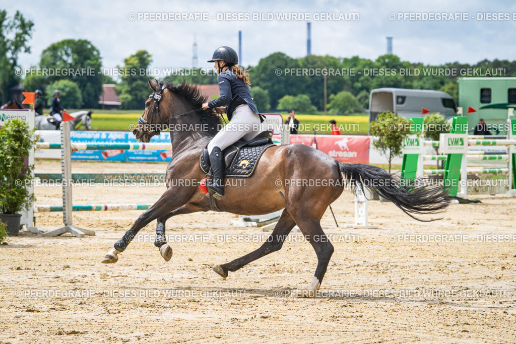 DSC04505 | Pferdegrafie