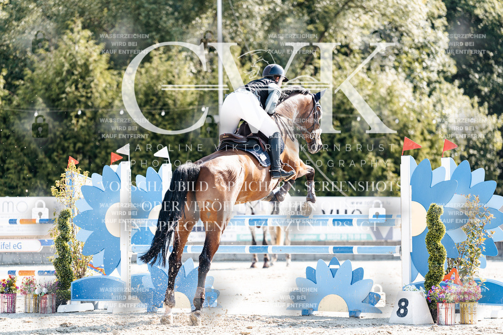 CK902330 | Turnierfotografie Pferdefotografie Trier Rheinland-Pfalz Pferdesport Reitsport Tierfotografie Sportfotografie Pferdevideo Pferdevideografie Equestrianvideography equestrianphotography  - Realisiert mit Pictrs.com