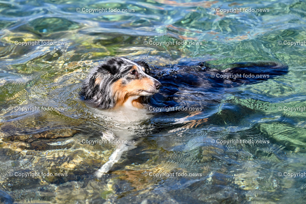 Kroatien_ Brac_ Insel in Dalmatien_ Milna_ 14.07.2025-9 | 14.07.2025, Kroatien, HRV, Brac, Insel in Dalmatien, Milna im Bild Themenbild, Hund, Strand, Felsen, Urlaub, Urlaub mit Hund am Meer, Schwimmen, Meer, Adria, Tourismus, Salzwasser, Feature, Symbolbild