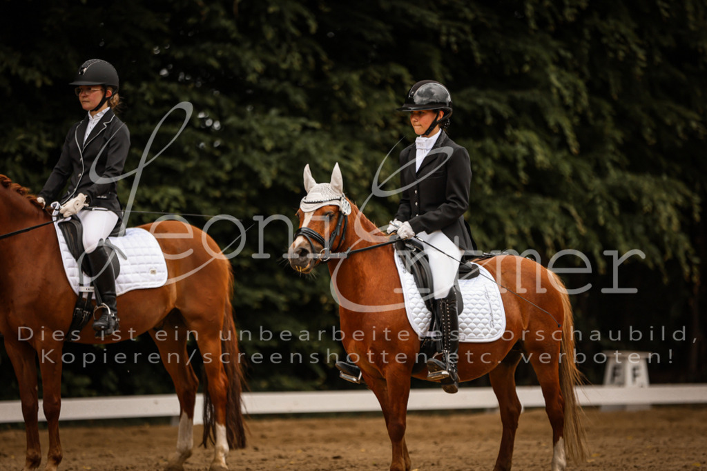 DoDrE00466 | Leoni Ertmer Photography - Realisiert mit Pictrs.com