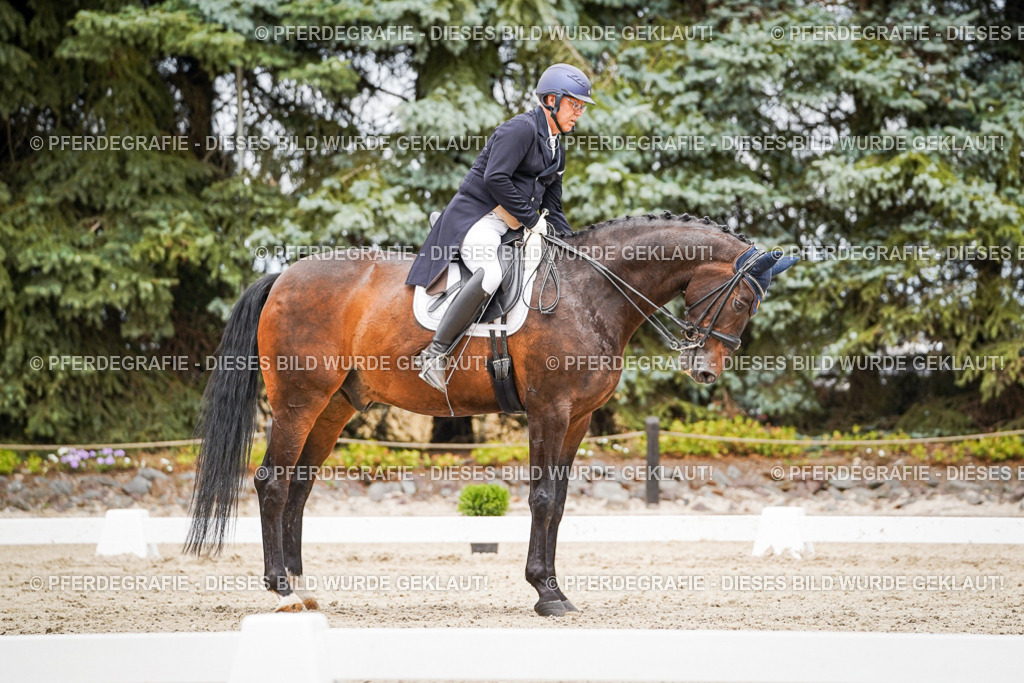 DSC05101 | Pferdegrafie