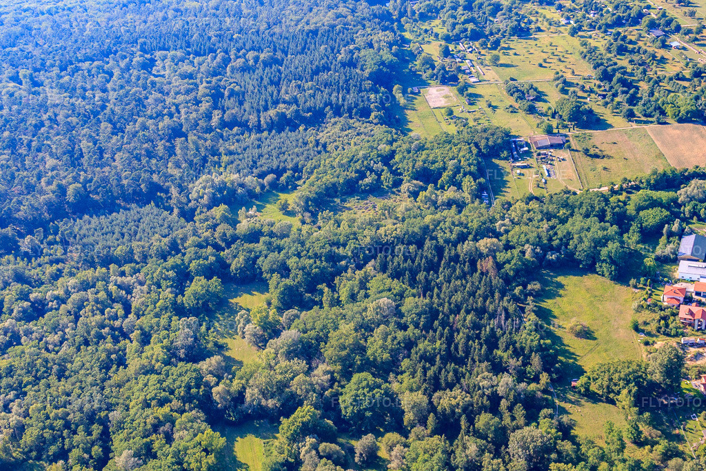 Luftbild: Bienwald in Jockgrim im Bundesland Rheinland-Pfalz in Deutschland. Foto: IMG_42514.jpg vom 27.06.2011 durch Werner Riehm/FLY-FOTO.de