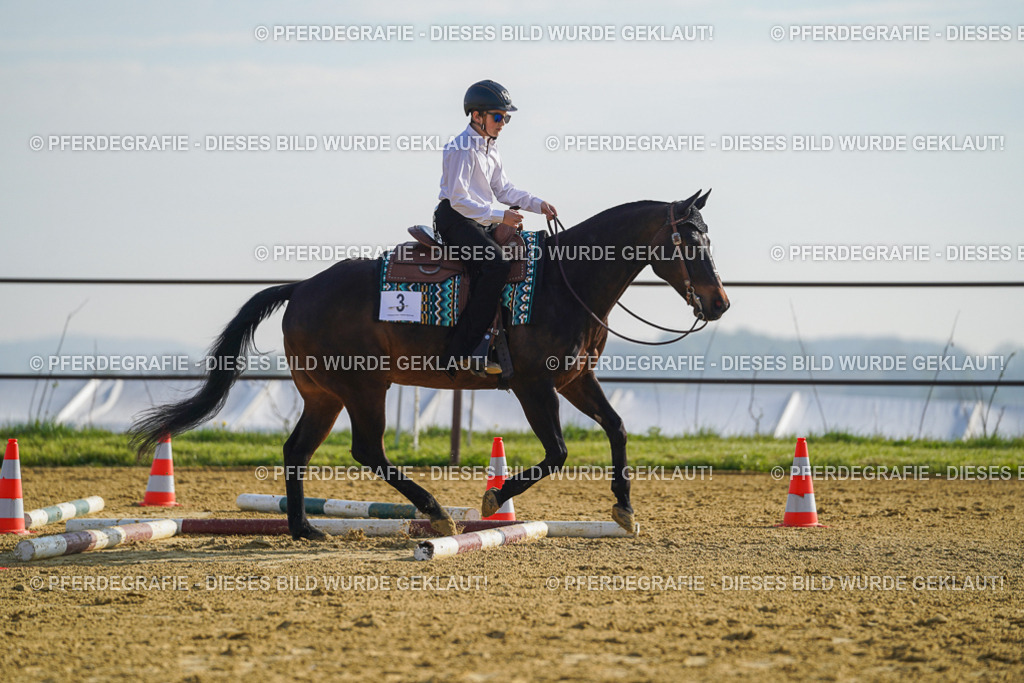 DSC00782 | Pferdegrafie