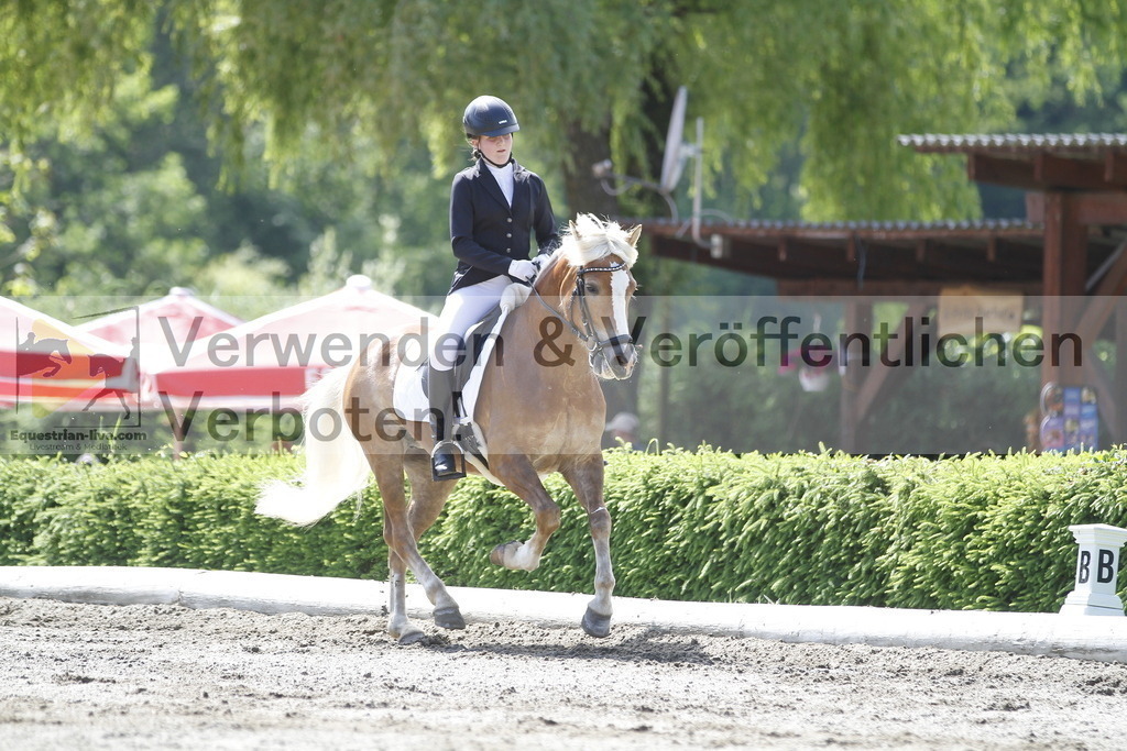 _MG_0234 | equestrian-live-com
