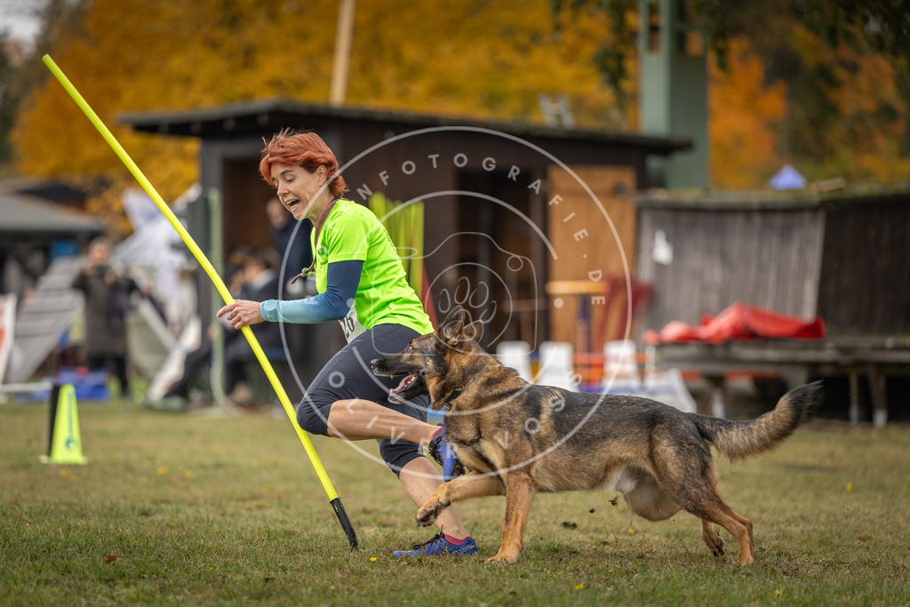 Pfotenfotografie_DV3A6721 | Hundefotografie, Tierfotograf, Pfotenfotografie, Fotoshooting Hund, Hunde Portrait, Hundesport, Hundeportraits, Heideshooting, Hunde, Sportfotograf, Hundefotograf, Turnierhundsport, THS,  - Realisiert mit Pictrs.com