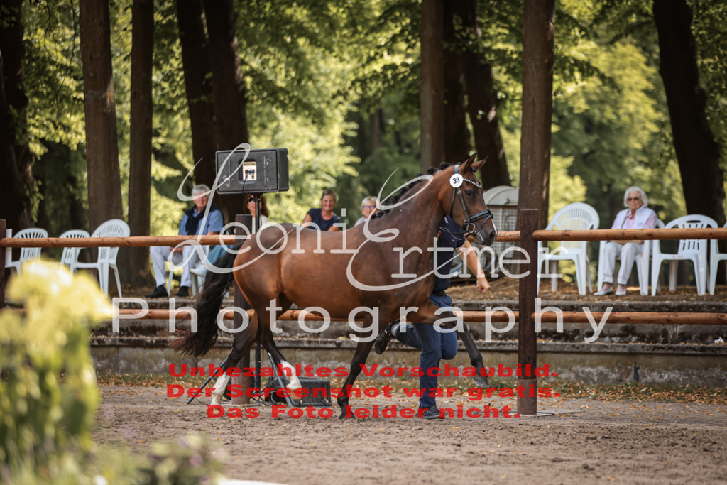 SoER00134 | Leoni Ertmer Photography - Realisiert mit Pictrs.com