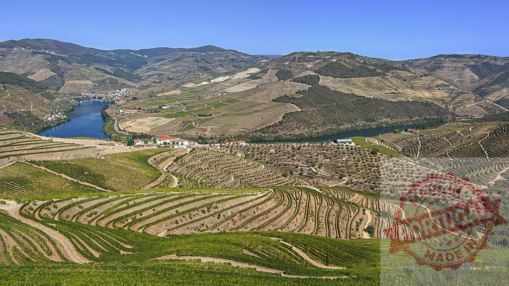 Douro River valley terraced vineyards and wine production | Douro River flowing through terraced vineyards producing world-renowned port wine in Portugal - Realized with Pictrs.com