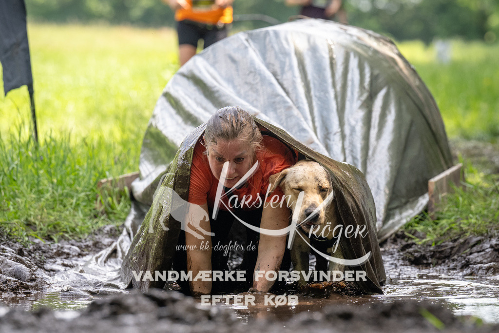 1211_ZZ91617 | kk-dogfotos