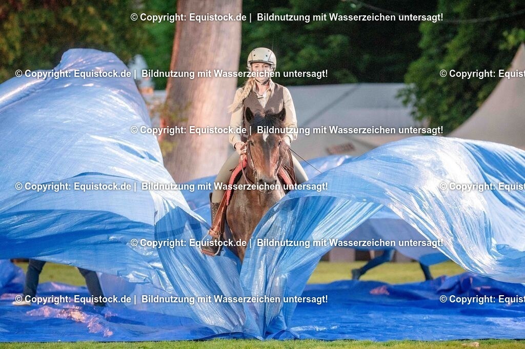 20250606_Lange-Pferdenacht_1004 | Foto: Thomas Hartig