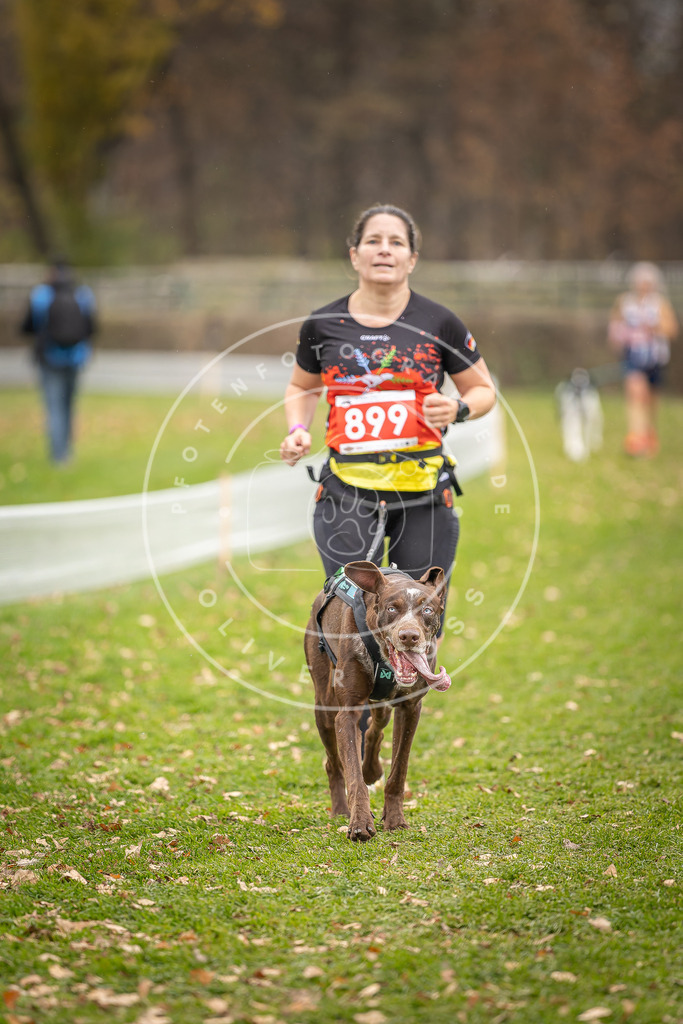 CaniXpix_DV3A6913 | Hundefotografie, Tierfotograf, Pfotenfotografie, Fotoshooting Hund, Hunde Portrait, Hundesport, Hundeportraits, Heideshooting, Hunde, Sportfotograf, Hundefotograf, Turnierhundsport, THS,  - Realisiert mit Pictrs.com