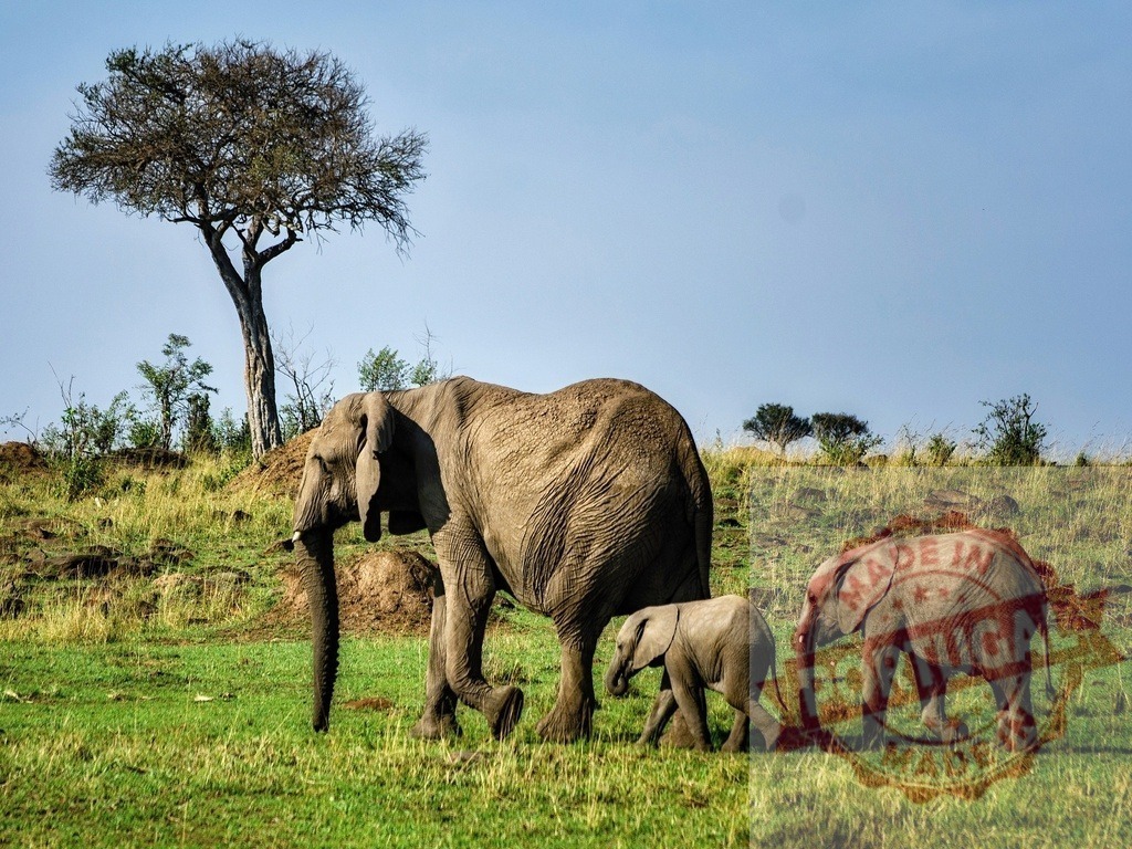 African elephant family walking across savannah grassland | African elephant mother and calves walking together through green savannah under a clear sky - Realized with Pictrs.com