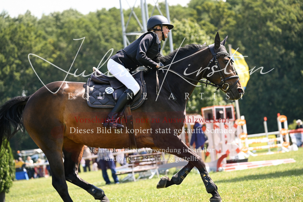 DSC_8970 | Pferde- und Turnierfotografie in Westsachsen. Pferdeportraits, Auftragszeichnungen und intuitive Kunst.