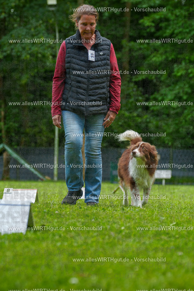 @allesWIRTHgut_Tierfotografie - www.allesWIRTHgut.de - 7R501456 | Professionelle Tierfotografie in Mönchengladbach von Daniel Wirth (allesWIRTHgut). Liebevolle & natürliche Bilder von Hunden & Katzen für unvergessliche Erinnerungen.