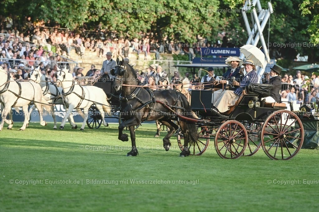 20230526_Pferdenacht_0170 | equistock