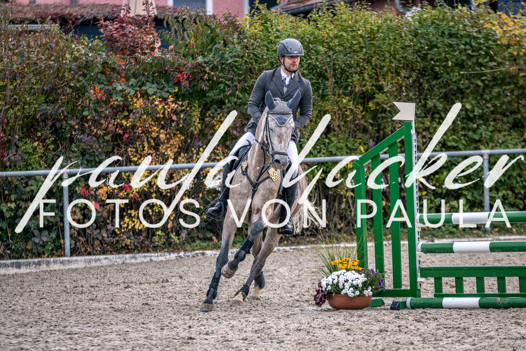 IMG_4936 | Erleben Sie dynamische Sport- und emotionale Tierfotografie in Süddeutschland mit Fotos von Paula. Spezialisiert auf Pferde- und Hundefotografie sowie Sportevents. Kontaktieren Sie mich für einzigartige und ausdrucksstarke Bilder Ihrer besonderen Momente. - Realisiert mit Pictrs.com