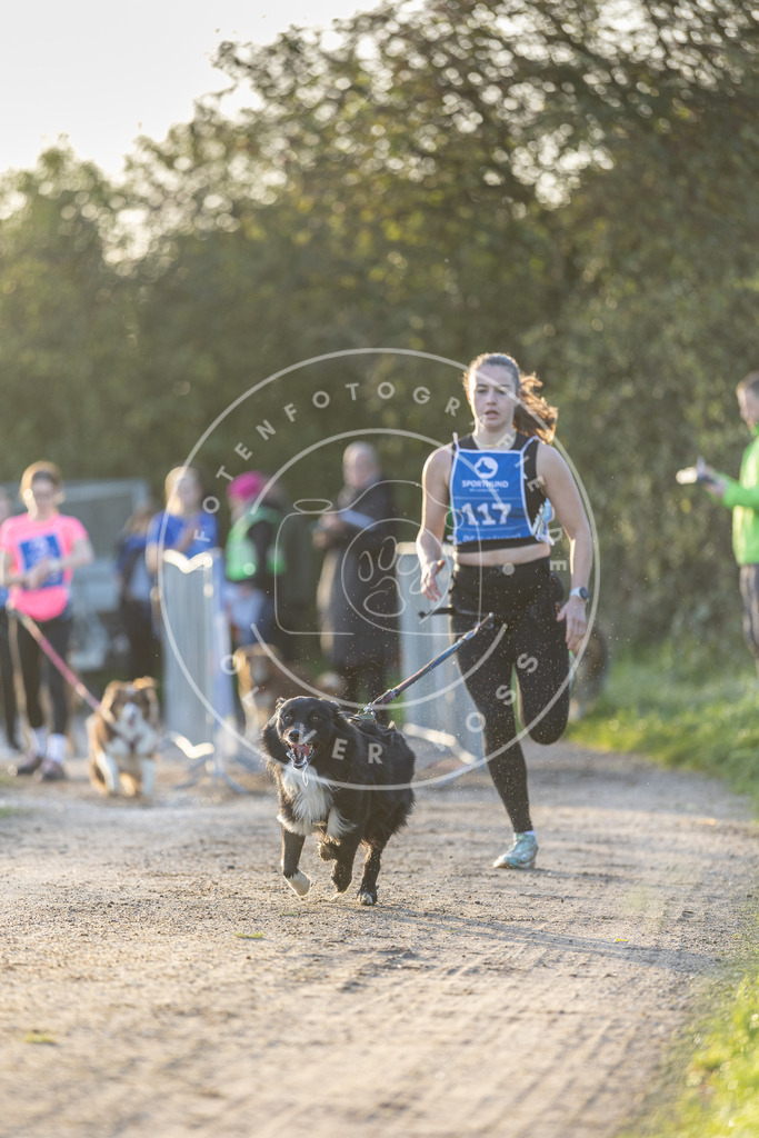 Pfotenfotografie.de_DV3A2469 | Hundefotografie, Tierfotograf, Pfotenfotografie, Fotoshooting Hund, Hunde Portrait, Hundesport, Hundeportraits, Heideshooting, Hunde, Sportfotograf, Hundefotograf, Turnierhundsport, THS, canicross - Realisiert mit Pictrs.com