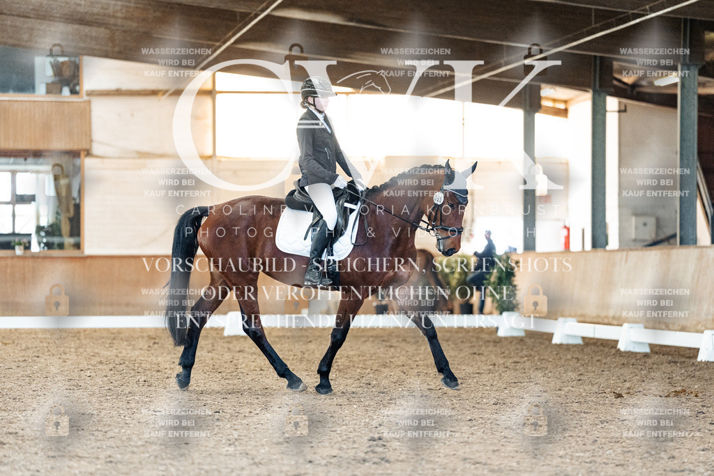 CK907652 | Turnierfotografie Pferdefotografie Trier Rheinland-Pfalz Pferdesport Reitsport Tierfotografie Sportfotografie Pferdevideo Pferdevideografie Equestrianvideography equestrianphotography  - Realized with Pictrs.com