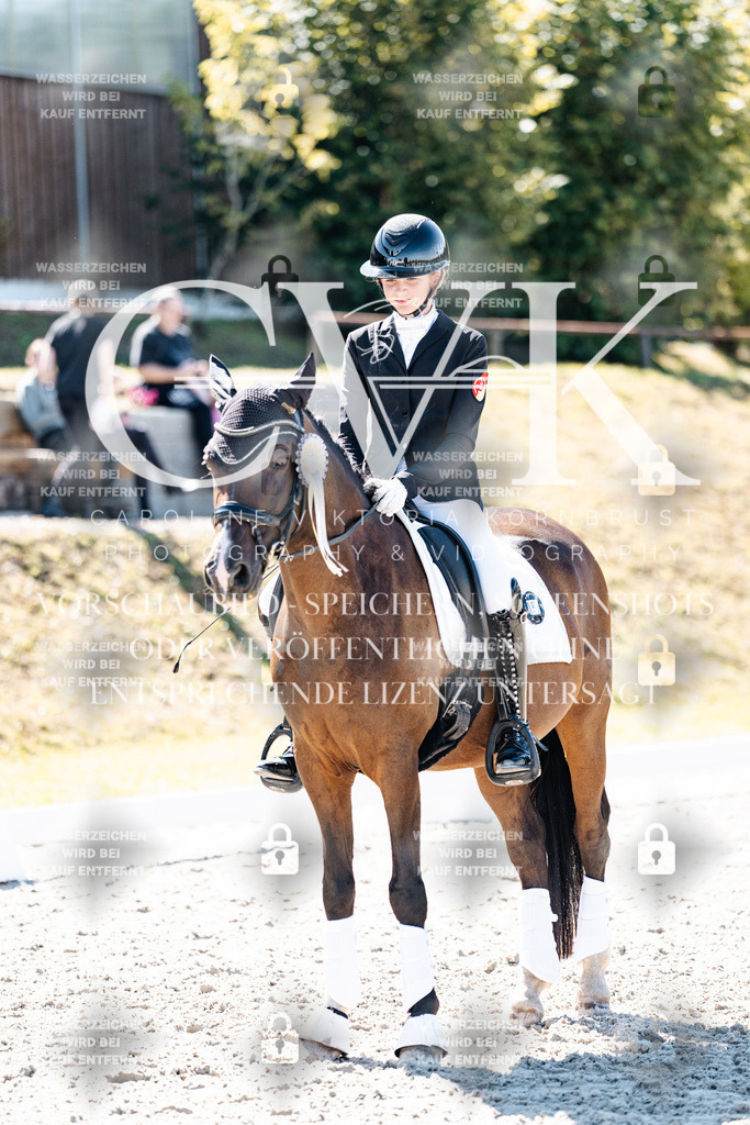 CK909967 | Turnierfotografie Pferdefotografie Trier Rheinland-Pfalz Pferdesport Reitsport Tierfotografie Sportfotografie Pferdevideo Pferdevideografie Equestrianvideography equestrianphotography  - Realisiert mit Pictrs.com
