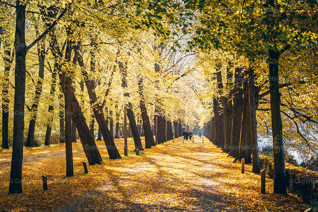 _DSC7451 | Leipzig Wandbilder Drucke Prints Leinwand Stadtmotive Leipzig Fotosdruck Kunstdrucke Bilder Leipzig Stadtansichten Acrylglasbilder Leipzig Wanddeko Fine Art Prints Wandbilder Büro Leipzig Bilder Praxis Zuhause Bilderdruck Poster Posterlounge Kunstdrucke - Realisiert mit Pictrs.com