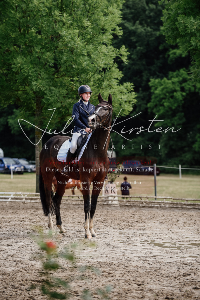 DSC_0066 | Pferde- und Turnierfotografie in Westsachsen. Pferdeportraits, Auftragszeichnungen und intuitive Kunst.