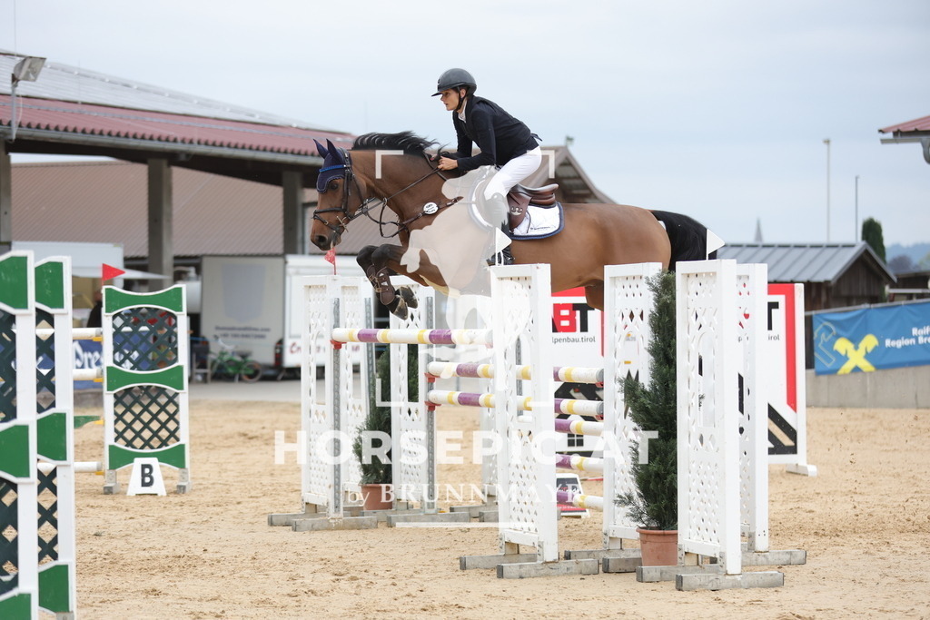 0P6A4501 | Willkommen bei Brunnmayr - Design & Fotografie – Ihrem Spezialisten für Reitturniere und Pferdeveranstaltungen in Oberösterreich, Salzburg und Bayern! Seit über 17 Jahren sind wir leidenschaftlich dabei.