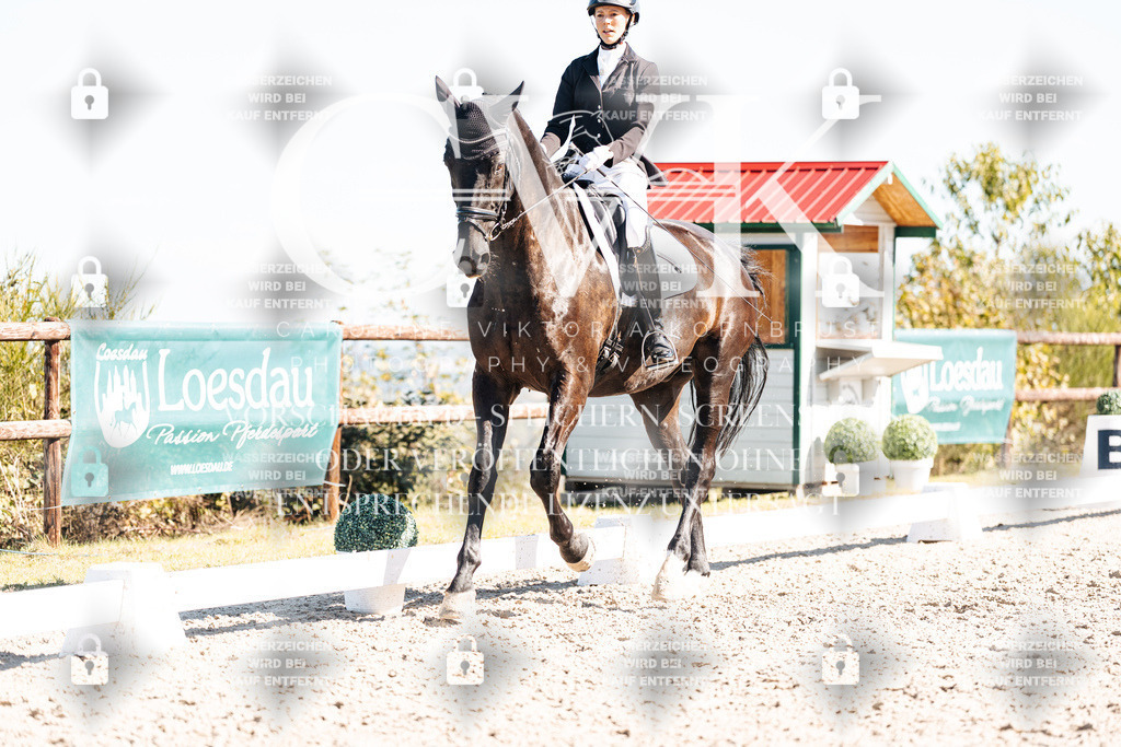 CK908904 | Turnierfotografie Pferdefotografie Trier Rheinland-Pfalz Pferdesport Reitsport Tierfotografie Sportfotografie Pferdevideo Pferdevideografie Equestrianvideography equestrianphotography  - Realisiert mit Pictrs.com