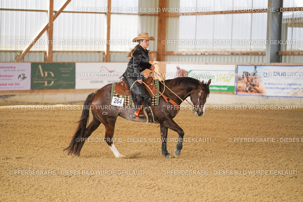 DSC02390 | Pferdegrafie