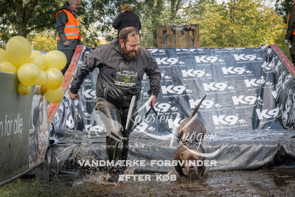 1555_ZZ91309 | kk-dogfotos