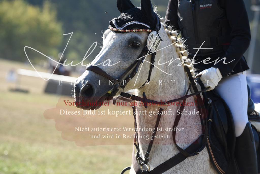 DSC_5665 | Pferde- und Turnierfotografie in Westsachsen. Pferdeportraits, Auftragszeichnungen und intuitive Kunst.