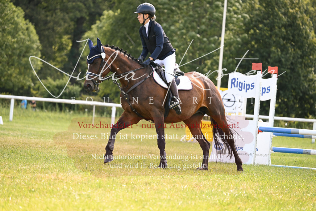 DSC_8858 | Pferde- und Turnierfotografie in Westsachsen. Pferdeportraits, Auftragszeichnungen und intuitive Kunst.