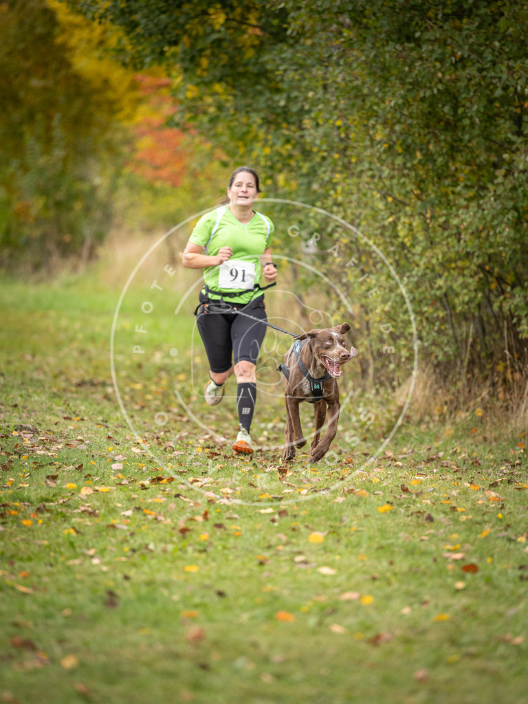 Pfotenfotografie_DV3A3269 | Hundefotografie, Tierfotograf, Pfotenfotografie, Fotoshooting Hund, Hunde Portrait, Hundesport, Hundeportraits, Heideshooting, Hunde, Sportfotograf, Hundefotograf, Turnierhundsport, THS,  - Realisiert mit Pictrs.com