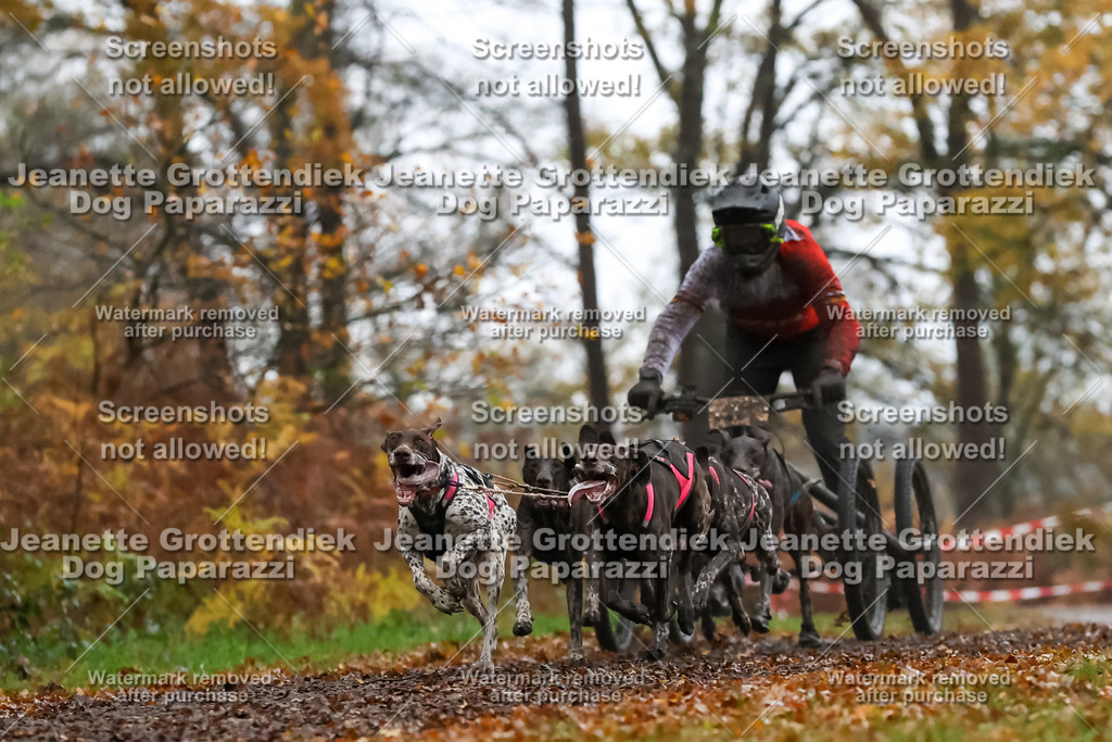 Dog Paparazzi - Ströhen 25-9 | Dog Paparazzi Jeanette Grottendiek Fotografie & Videografie - Realisiert mit Pictrs.com
