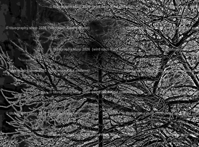 Astimpression-sw-3 | SW-Foto aus der phototitusgraphy-sw-edition - Realisiert mit Pictrs.com