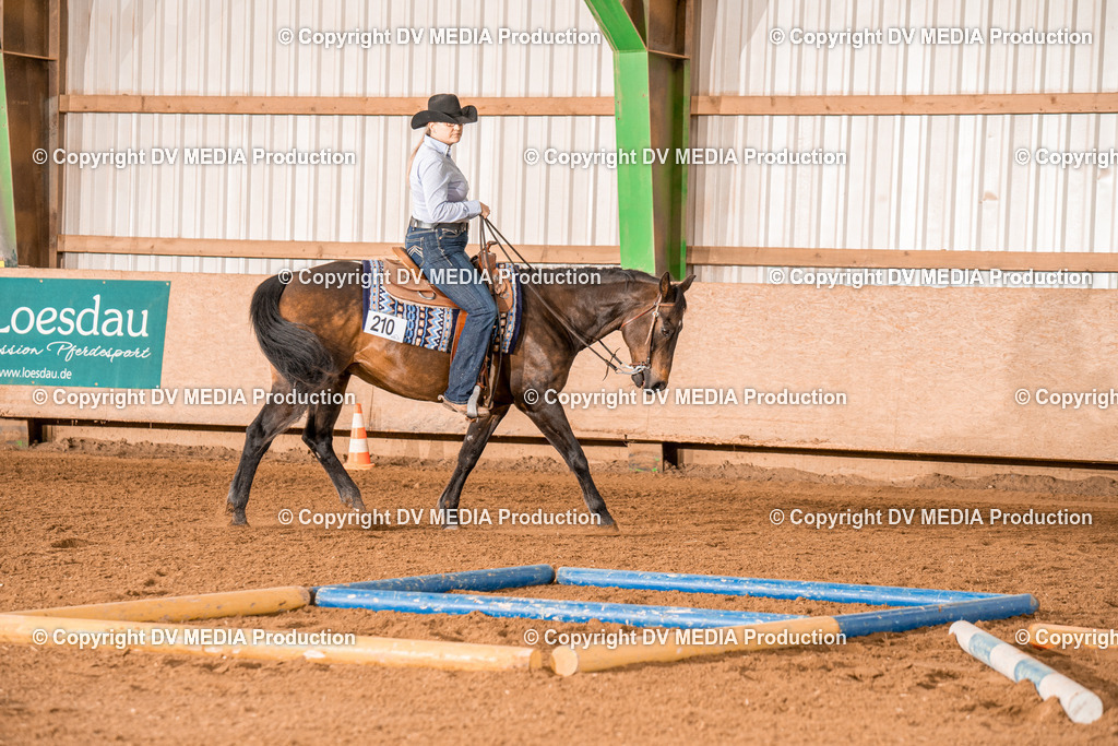 BAL00621 | dv-media-shop - Realisiert mit Pictrs.com