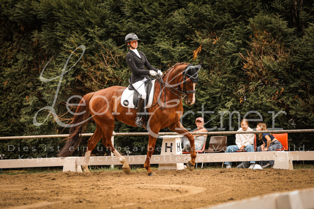 16.SaDrM00151 | Leoni Ertmer Photography - Realisiert mit Pictrs.com