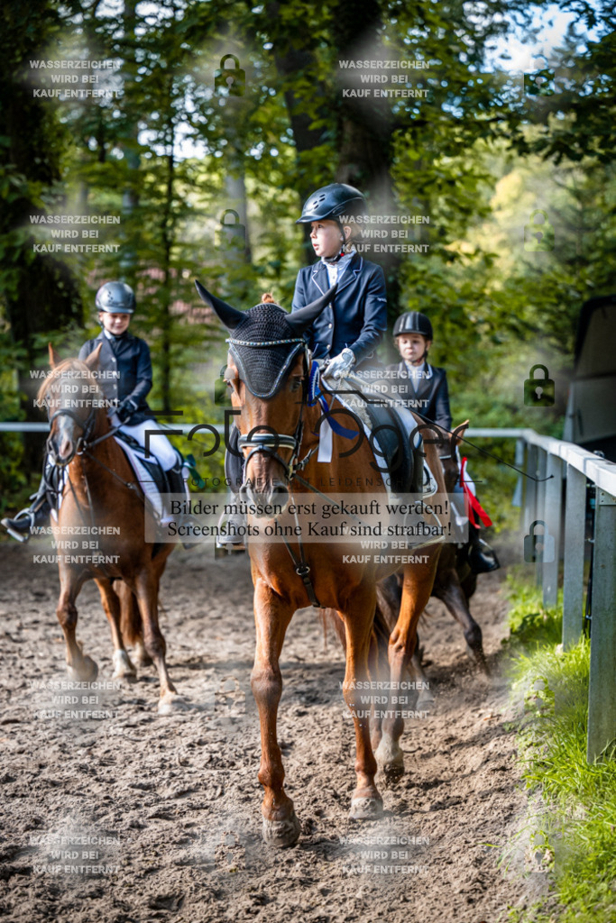 2026-10-Helle-20-4-0073 | Entdecke hochwertige Reitturnierfotos von Foto Oger. Professionell, emotional und authentisch – jetzt Lieblingsmomente im Shop bestellen.Deutschlandweite Turnierfotografie. - Realisiert mit Pictrs.com