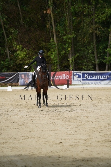 VAN02692 | Marie Giesen Fotografie - Realisiert mit Pictrs.com