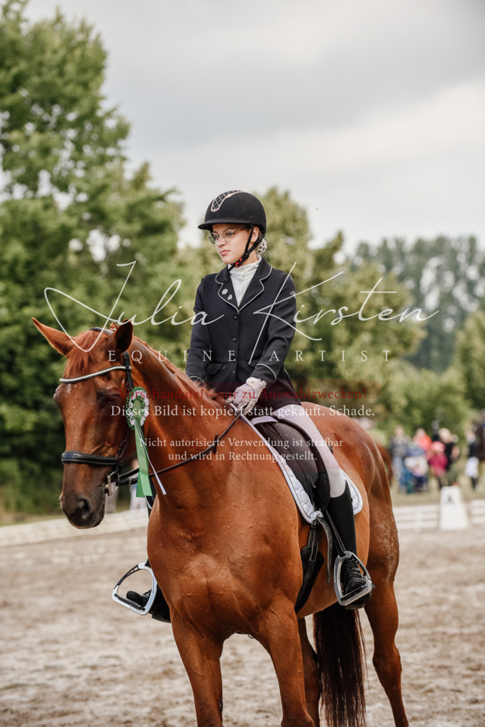 DSC_9382 | Pferde- und Turnierfotografie in Westsachsen. Pferdeportraits, Auftragszeichnungen und intuitive Kunst.