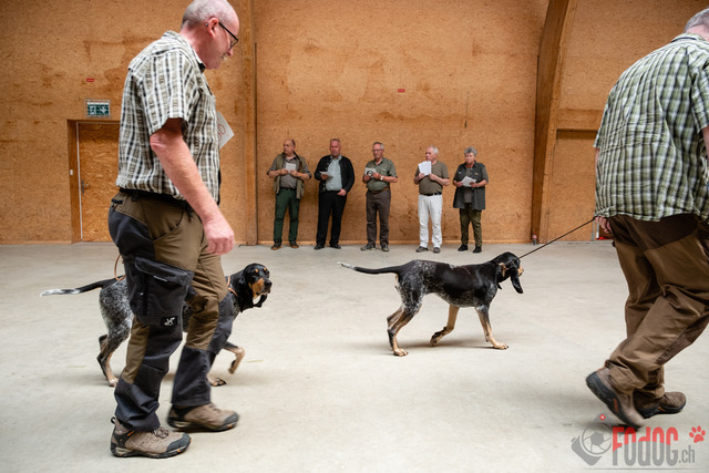 Expo Hunde CAC 2023 Escholznatt | Expo SLC/CCC/CSS (CAC) in Escholzmatt. 03.06.2023 Foto: Leo Wyden