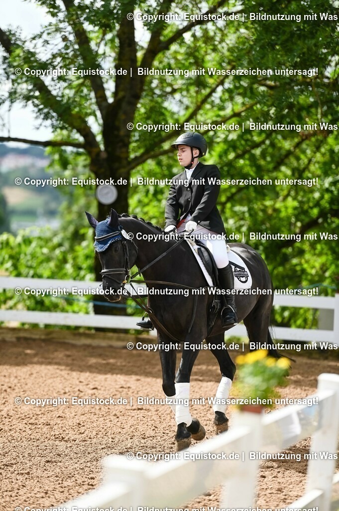 20230716_10-1_Reiter-WB Schritt - Trab - Galopp_0161 | equistock