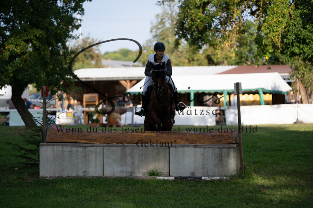 A7V03069 | Pferdefotograf